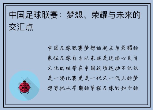 中国足球联赛：梦想、荣耀与未来的交汇点
